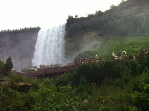 SackeySoyoe's profile picture. YOLO.