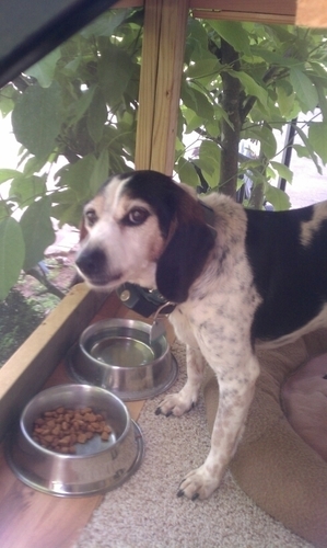 merandjon's profile picture. 