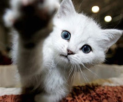 I follow you, you follow me. Deal?