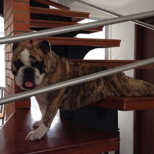 juanfelipehena2's profile picture. 