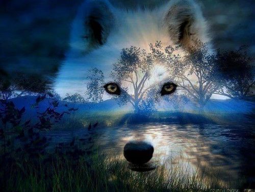 insanewander06's profile picture. Love my family!!