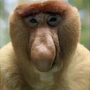 Gabriel Storms - @StormyArchAngel - Twitter