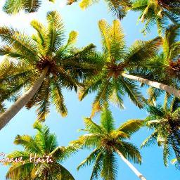 Artist,Singer,Author. Looking for intelligent and dynamic persons who wants to make a living. Your hours, your amount of money. FREE!

egalr5@yahoo.fr