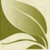 NY Naturopathic(@Nyanpbuzz) 's Twitter Profile Photo