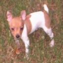 Mark McPhillips - @khfreak64 - Twitter