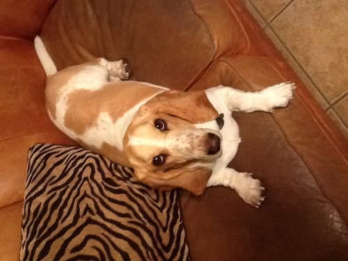 snyder_kenneth's profile picture. 