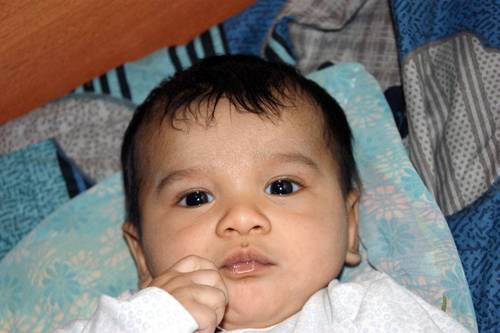 harshvardhan711's profile picture. 