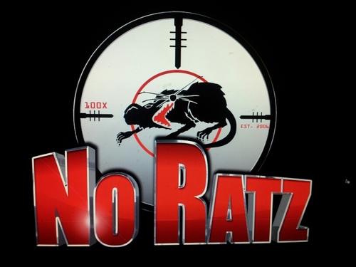 NoRatz's profile picture. 