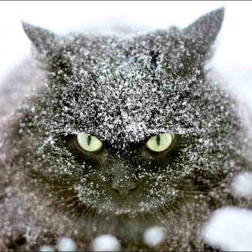 おぎゃあああああああああ Ogyaaaaaaaaaa Twitter