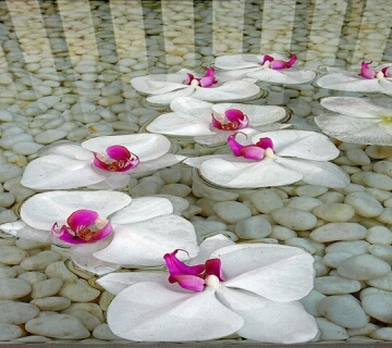 shelly4018's profile picture. 