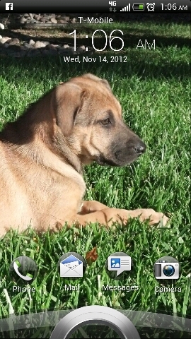 cipouncey's profile picture. 