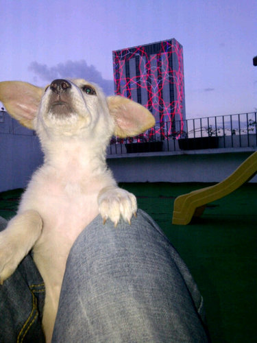 fabiangalina's profile picture. 