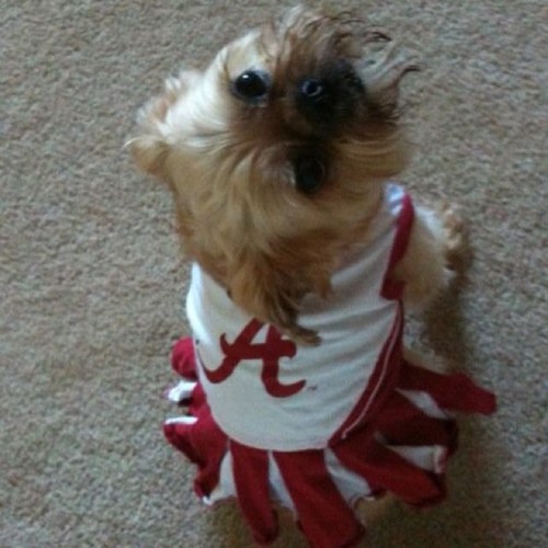 Dog mom. Pro choice. Crimson Tider. Always searching for the perfect fine point pen.