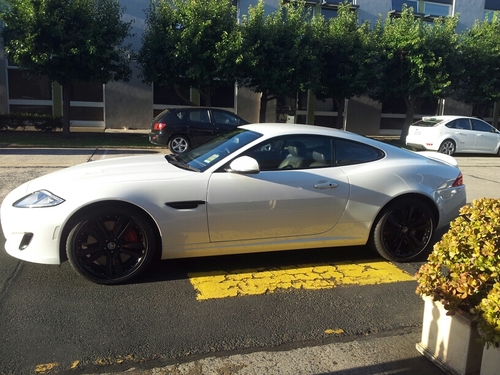 AnthBless's profile picture. 