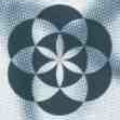 AskForAcu's profile picture. Specializing in Acupuncture and Traditional Chinese Medicine