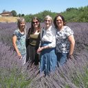 Donna Pullman - @djp9810 - Twitter