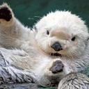 David Riffle - @theDavidRiffle - Twitter