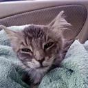 Beth Sanders - @monkeybear2009 - Twitter