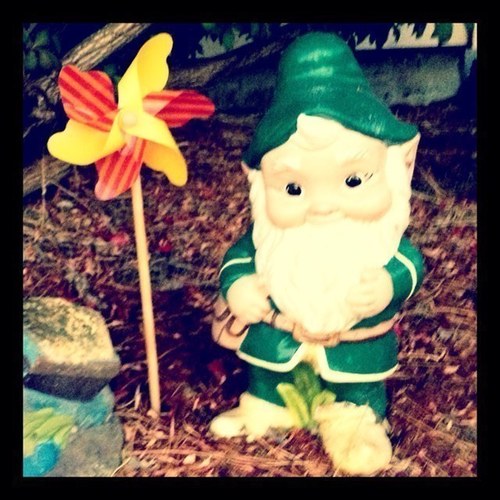 Stolen from our gnome home 10.10.12 in the Wapato neighborhood in south Tacoma, WA. Looking for a way home & helping other wayward lawn ornaments.