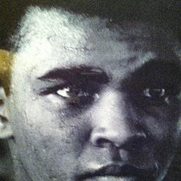 Paul is the owner of this boxing Memorabilia company, has attended private signings with Muhammad Ali, Joe Frazier, Lennox Lewis, Ricky Hatton,Joe Calzaghe, Etc