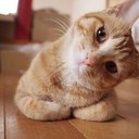 610 (@0624Koshu) Twitter