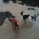 Mairead Lyons - @Aoifepatricia1 - Twitter