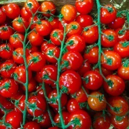 Small but ambitious family owned organic farm in rural Maine.  We are excited to provide delicious & fresh vegetables for you and yours!