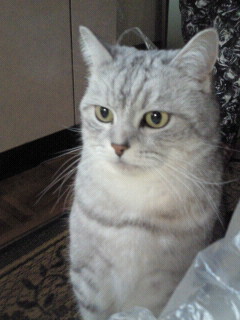 シュールに攻めて行くんでよろしく!!