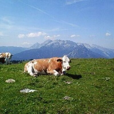 小沢修司 (thunderbird_oz) / Twitter