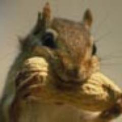 Burunduk30's profile picture. 