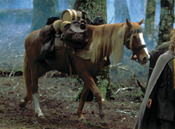 Hello, I am Bill the Pony. I went with the Fellowship of the Ring to the Mines of Moria, after that I went everywhere.