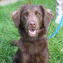 Bruce Leary - @OOSkip - Twitter