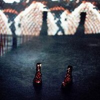 Amy Alice Neill (@amyaliceneill) 's Twitter Profile