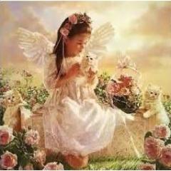 JovemAngeel's profile picture. Deixe a luz do céu entrar. Abra bem a porta do seu coração e deixe a luz do céu entrar.