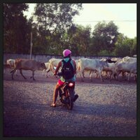 tomasgn (@tomasgn_) 's Twitter Profile