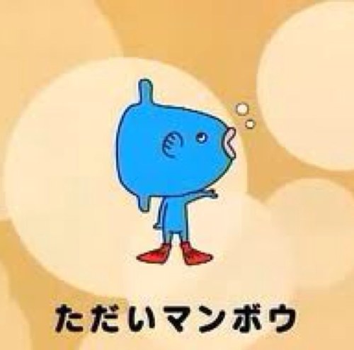 社会人始めました！