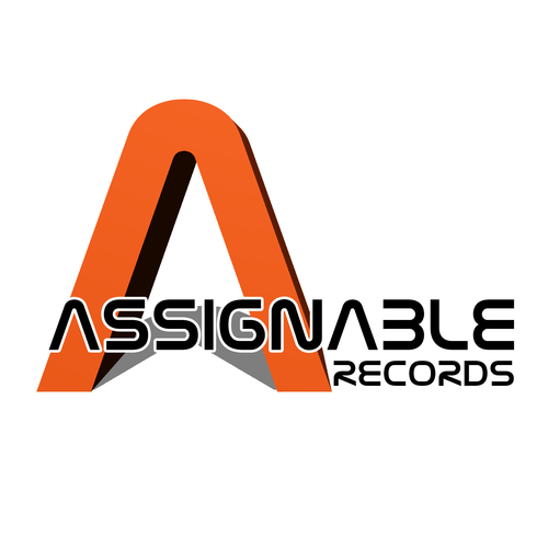AssignableRec's profile picture. Techno Record Label