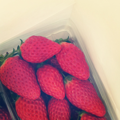 hachikomiso's profile picture. ◎備忘録｜BTS｜高杉真宙｜チョン・ヘイン・アン・ヒョソプ｜ドラマ｜映画｜おいしそうなレシピ｜人が作ったお弁当を眺めるのが好き｜気になるヒト・モノ・コトを、そのときの気分でフォローさせてもらっています｜なんでもよく食べる｜雑食｜みんなちがって、みんないい｜