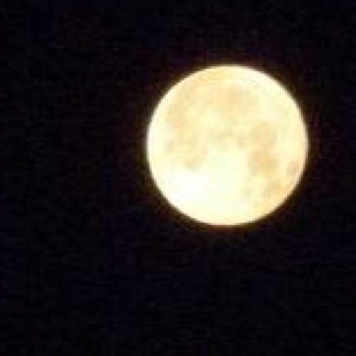 keina0316's profile picture. My favorite ♡ figure skating. fan of …→♡Daisuke Takahashi 、Akiko Suzuki. Akio, Johnny, Takahiko, Haruka 、Kotaro Hayakawa Syoma Uno、David