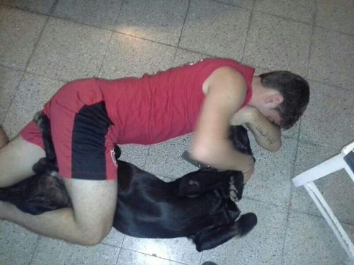 fedeespinola's profile picture. 