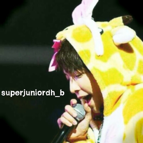 SUPERJUNIORドンへBot R18/BL.OK  【start2013.1.29】