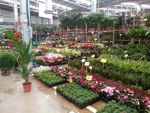 Gran seleccion de plantas de interior y de exterior .Tambien departamento de ceramicas y complementos. Precios muy competitivos