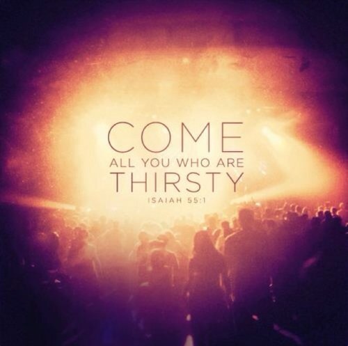 WhippedProbs's profile picture. 