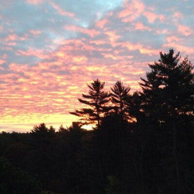 Advanceautoparts 4myrebate Com Advanceautoparts 4myrebate Com >> Nick Sosnicki On Twitter Advanceauto I Want My 10 Rebate That Advanceautoparts 4myrebate Com Advanceautoparts 4myrebate Com >> Nick Sosnicki On Twitter Advanceauto I Want My 10 Rebate That