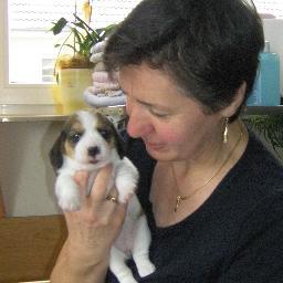 Beaglenelly's profile picture. Alles über meine Zucht lässt sich auf meiner Website nachlesen. Was aus meinen Welpen wird, erfahrt ihr unter http://t.co/vQaQ9M6f