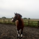 Katy Kenyon - @Tictac1979 - Twitter