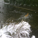 Malc Newman Evans - @realale_malc - Twitter