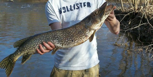Get in the woods or be on the water
