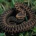 PorthkerryWildlifeGp (no longer Tweeting) (@porthkerrywild) Twitter profile photo PorthkerryWildlifeGp (no longer Tweeting) (@porthkerrywild) Twitter profile photo