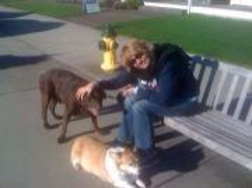 TracSweet's profile picture. 